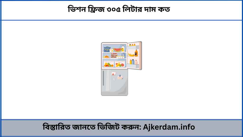 ভিশন ফ্রিজ ৩০৫ লিটার দাম কত